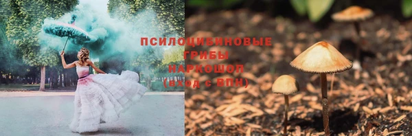 бошки Алзамай