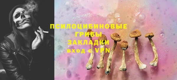 стаф Алексеевка