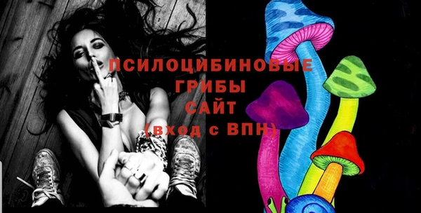 стаф Алексеевка