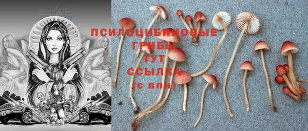 стаф Алексеевка
