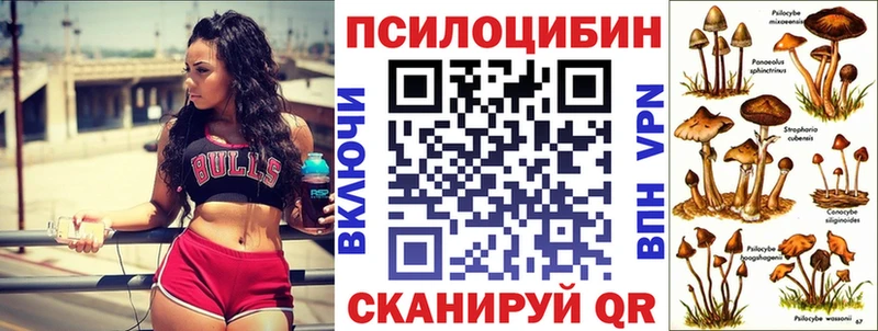 хочу наркоту  Бакал  мега ТОР  Галлюциногенные грибы Psilocybe 